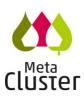 Profile picture for user Meta Cluster