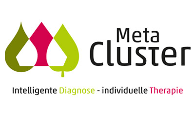 Meta Cluster