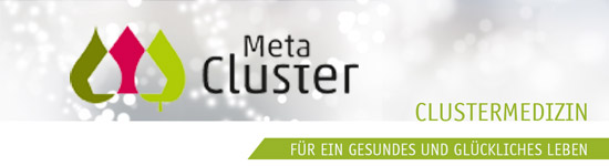 Meta Cluster GmbH