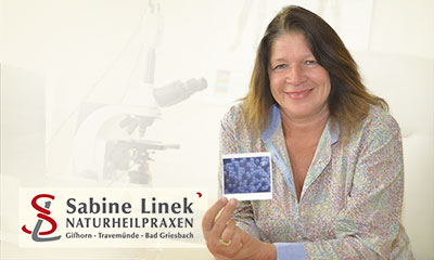 Sabine Linek - Autorin bei ViGeno